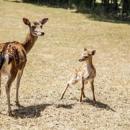 Ingeborg Maison d'hôtes