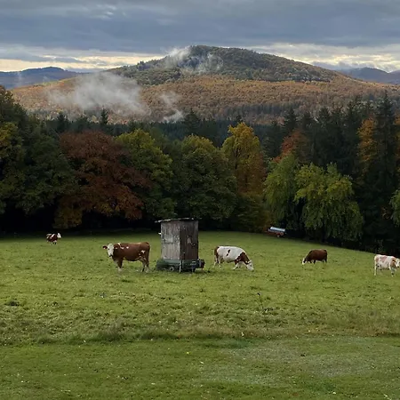 Ingeborg ゲストハウス ポッペンハウゼン