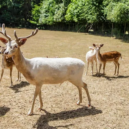 Maison d'hôtes Ingeborg 3*